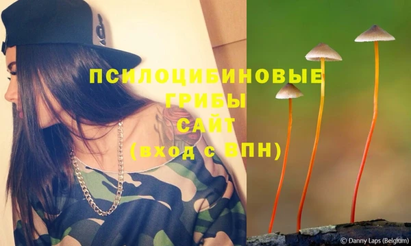 молекула духа Балабаново