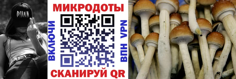 Галлюциногенные грибы MAGIC MUSHROOMS  Купить где  Донецк 